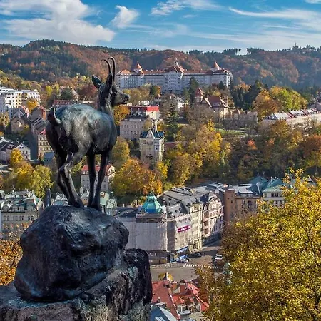 Amici * Karlovy Vary