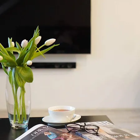 Lejlighed Amici Karlovy Vary